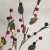 Kokina Led Işıklı Yılbaşı Çiçeği 2´li Set